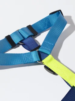 PARFOIS Arnés Para Perros Azul Shop