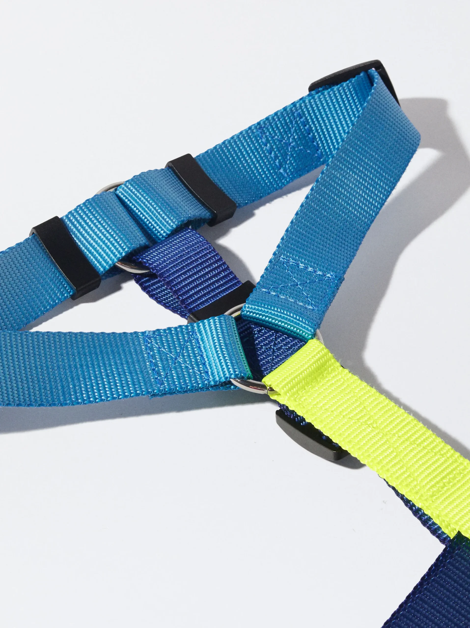 PARFOIS Arnés Para Perros Azul Shop