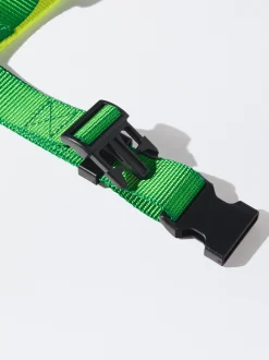 PARFOIS Arnés Para Perros Verde Best Sale