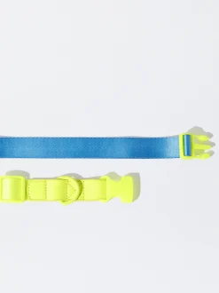 PARFOIS Collar Personalizable Para Perros Azul Outlet