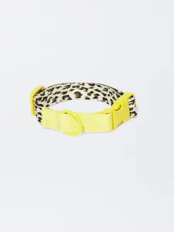 PARFOIS Collar Personalizable Para Perros Multicor Discount