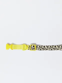 PARFOIS Collar Personalizable Para Perros Multicor Discount
