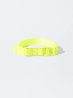 PARFOIS Collar Personalizable Para Perros Amarillo New