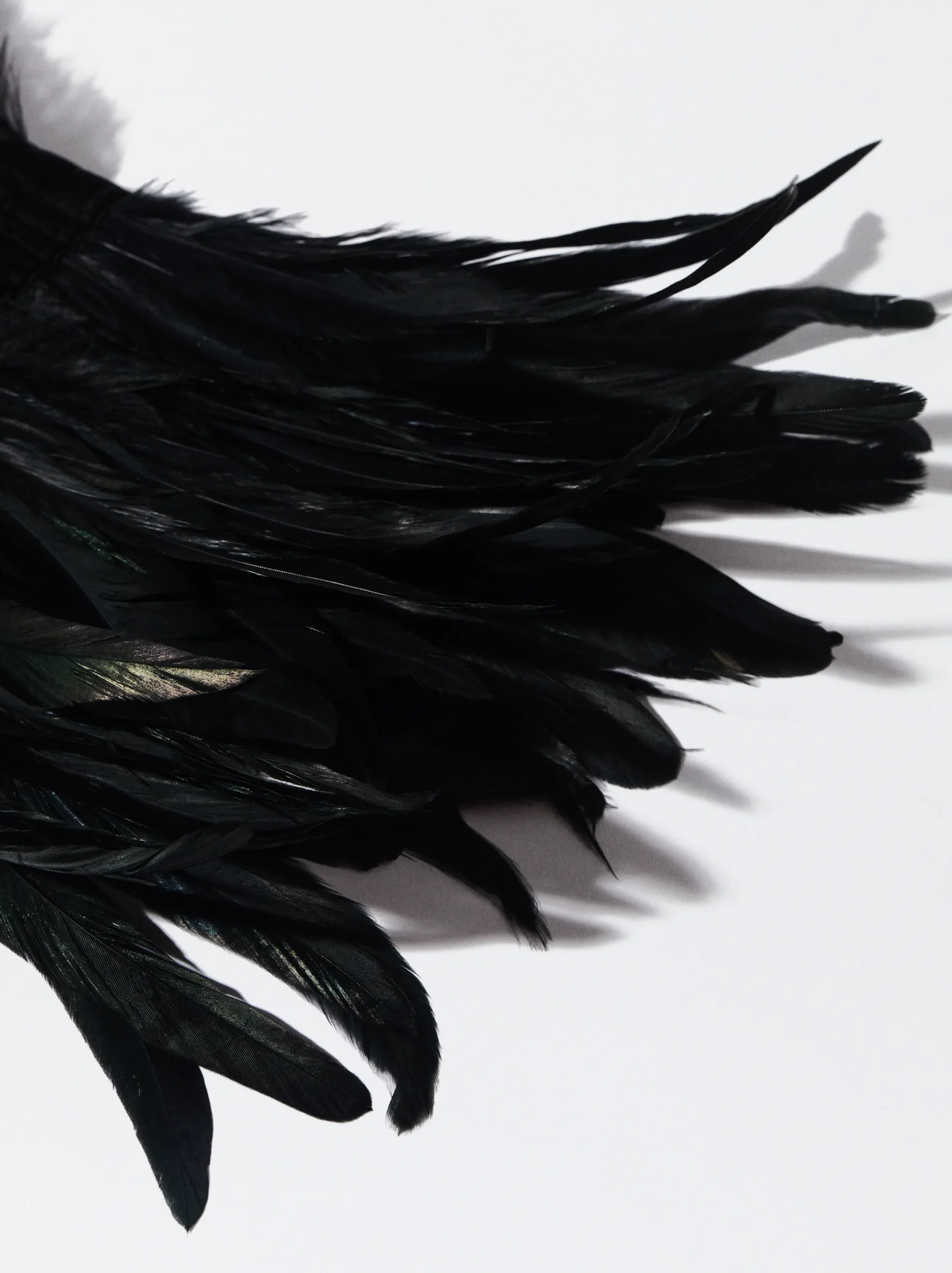 PARFOIS Exclusivo Online - Collar Maxi Plumas Negro Best Sale