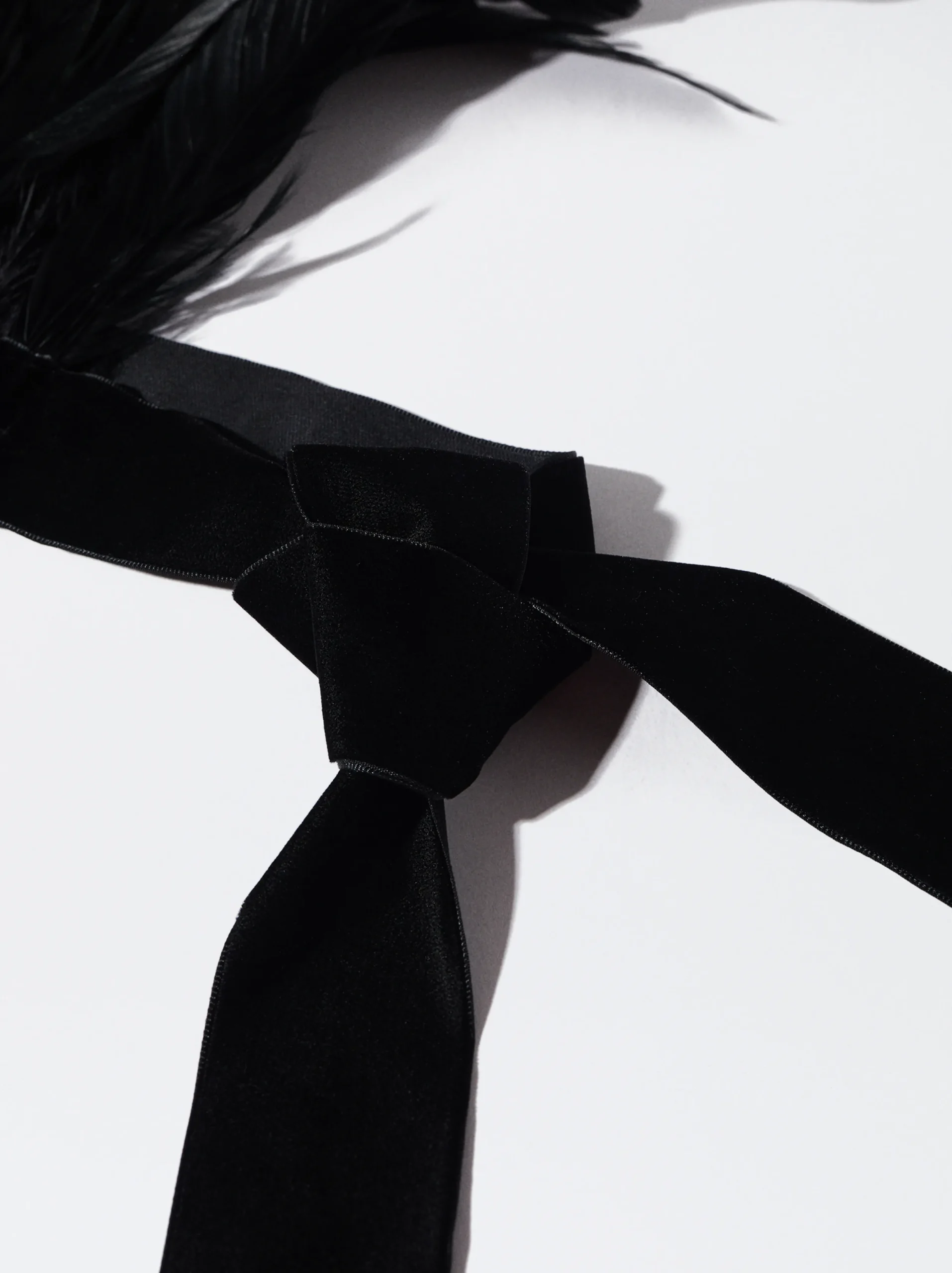 PARFOIS Exclusivo Online - Collar Maxi Plumas Negro Best Sale